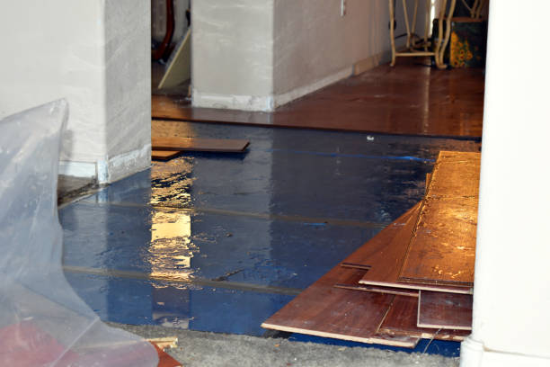 Professional Sewage Cleanup technician working in Latham, OH